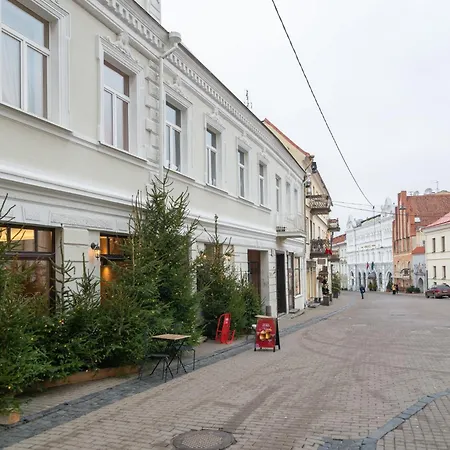 Old Town Luxury Self Check Apartment Wilna