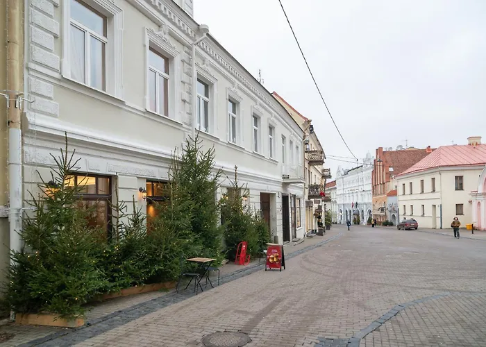 Old Town Luxury Self Check Apartment Vilnius